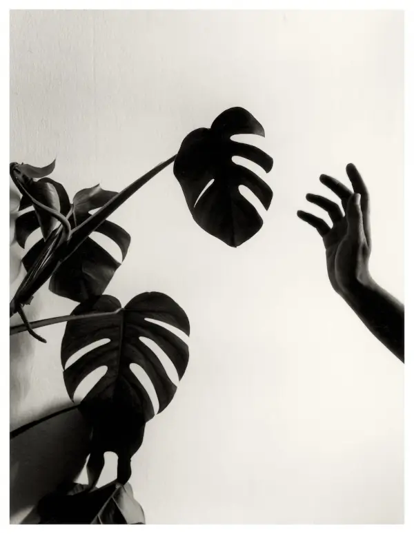 Fotografía de Chema Madoz que muestra un diálogo entre elementos naturales y la intervención artística.